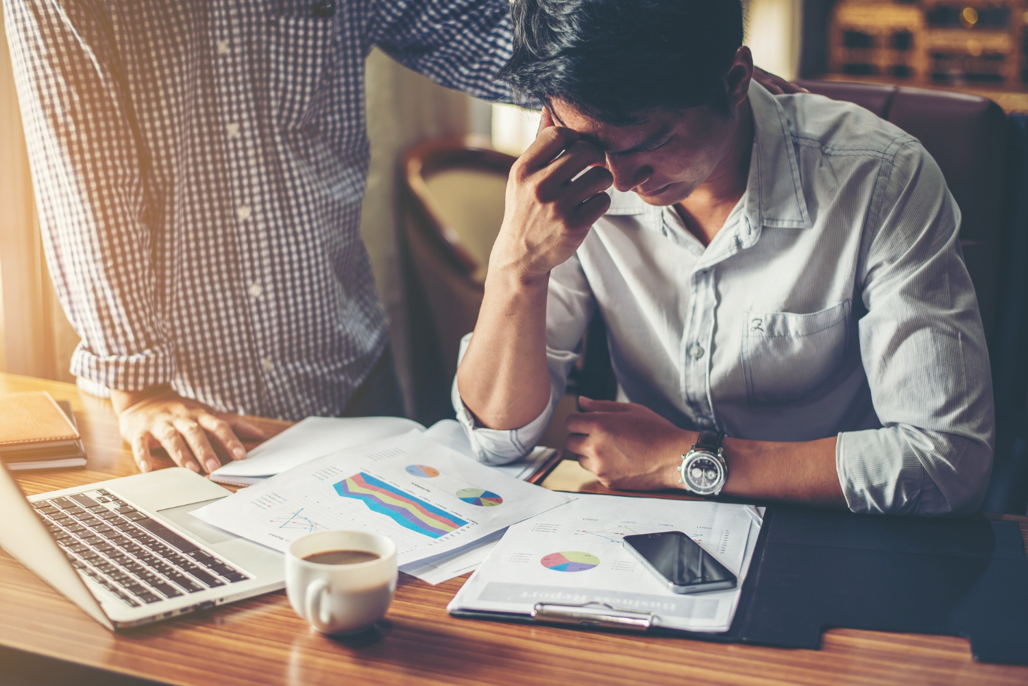 The Phoenix Principle: 10 Strategies to Rise Stronger from Business Crises